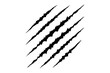 © MdHabibur - Claw mark scratches vector, Animal paw prints, tiger, wolf, lion, monster silhouette