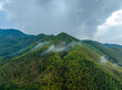 © Jim Xiang/Stocksy - Yuhou bamboo forest