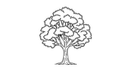 Illustration of a tree with dense foliage, showcasing its branches and leaves