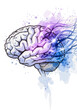 © Justice - Artistic Representation of a Human Brain with Swirling Colors and Energetic Neuronal Connections
