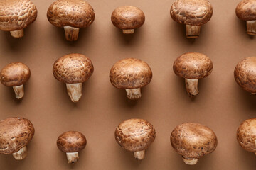 Wall Mural - Fresh raw mushrooms on brown background