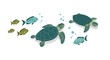 © alexT - Marine wildlife: sea turtles and fish swimming underwater in flat design