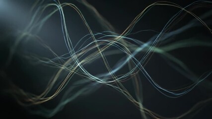 Wall Mural - A soft, diffused spotlight subtly reveals a complex, intertwining network of lines in a tranquil seamlessly looping video lines, motion, subtly reveals