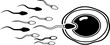 © Mahmoud - Human Fertilization Icon Vector - Sperm and Egg Reproduction Outline and Solid Illustration