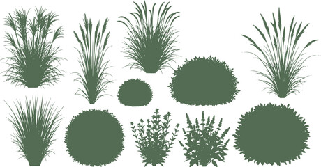 Wall Mural - set of bush grass shrub herb silhouette vector transparent background 