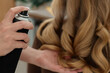 © New Africa - Professional hairstylist working with client in salon, closeup