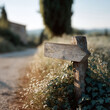 © SolaruS - Rustic wooden signpost guides the way on a sunlit country road. Evokes journeys, adventure, and choices. Ideal for travel, lifestyle, or motivational themes.