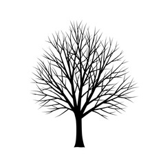 Silhouette of a bare deciduous tree with intricate branching patterns against a white background