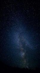 Wall Mural - Night sky view of the Milky Way galaxy with countless stars and cosmic dust