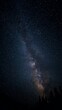 © tourinn - Night sky view of the Milky Way galaxy with stars and dark silhouettes of trees below