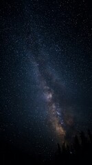 Wall Mural - Night sky view of the Milky Way galaxy with stars and dark silhouettes of trees below