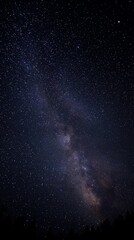 Wall Mural - Night sky view of the Milky Way galaxy with countless stars and cosmic dust