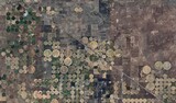Kansas Farmland: High-Resolution Satellite View of Center Pivot Irrigation Patterns