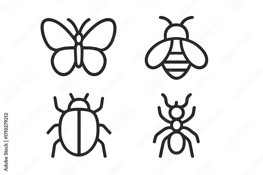 Insect icon set. Minimalist outline graphic collection. Simple line art ...