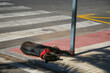 © DBA - Hot day - Black dog with a red bandana tied to a pole, napping on a textured city sidewalk
