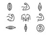 © Maud - Muscle and fitness line icon set. Bodybuilding and sport symbols. Bicep flex, abs, torso and muscle fiber anatomy vector icons. Editable stroke for gym, web, and apps.
