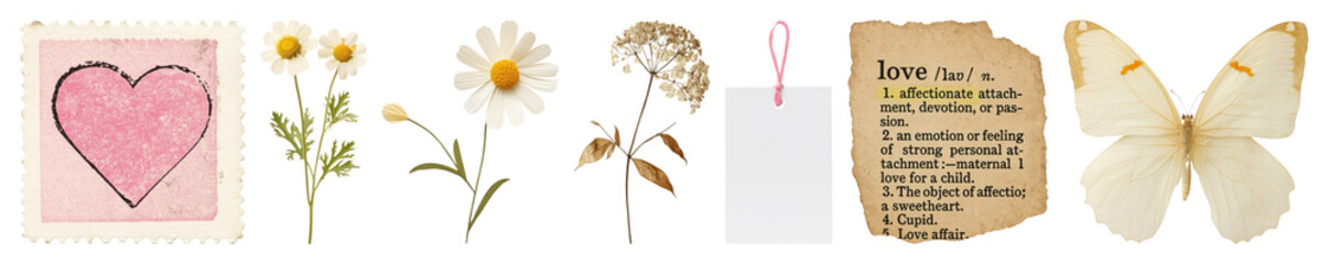 Wall Mural - Vintage collage with nature elements