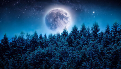 Wall Mural - Mysterious Forest Under A Full Moon Illuminated By Stars And Ethereal Glow At Night