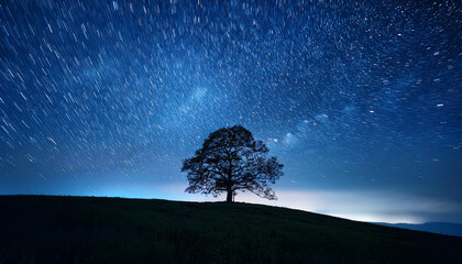 Wall Mural - Peaceful Night Sky Filled With Stars Above Solitary Tree On Hill Under Deep Blue Tones