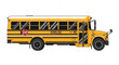 © Zubair - Yellow school bus vector illustration for transportation and education resources and design elements use