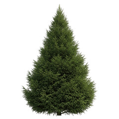 green evergreen tree isolated on transparent background