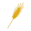 © MariiaMart - A yellow stalk of wheat with a brown tip. The stalk is thin and long
