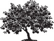 © milon - Elegant apple tree silhouette with fruit isolated vector design
