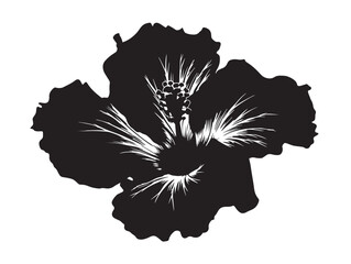 Beautiful hibiscus flower silhouette vector illustration artwork