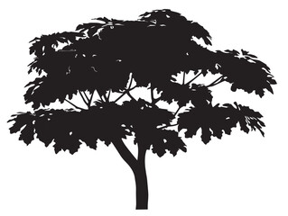 Decorative papaya tree silhouette artwork for tropical themes