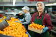 © JackF - Smiling young female worker in fruit sorting and packing warehouse holding small wooden box of sorted ripe mandarins