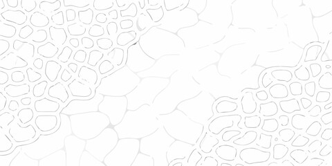 Wall Mural - Abstract organic cellular pattern with irregular shapes and thin outlines on a white background