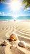 © Kitta Studio - Beautiful Seashells on Sandy Beach with Clear Blue Ocean and Sunshine