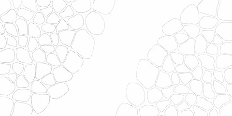 Abstract organic cell like pattern with irregular shapes and thin lines on a white background