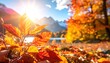 © Lumen - Sunlit autumn leaves highlight a mountain lake scene with orange foliage in the foreground against a backdrop of snow-capped peaks