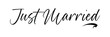 © Micro  Vector Market - just married hand lettering phrase. vector brush calligraphy text design isolated on white background. vector illustration. Eps 10.