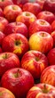 © Yoga - Close-up of many red apples