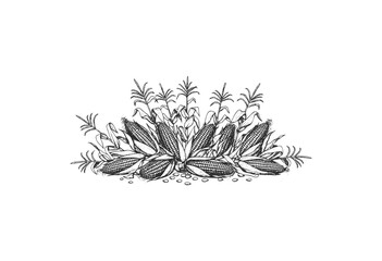 Wall Mural - detailed black and white corn sketch with husk and leaves - stock vector