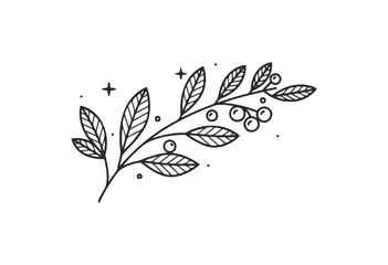 Wall Mural - decorative botanical black and white line art of leafy branch with berries and stars - stock vector