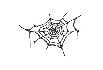 Intricate spider web design - stock vector