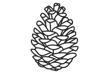Wall Mural - detailed outline of a pine cone in black and white - stock vector