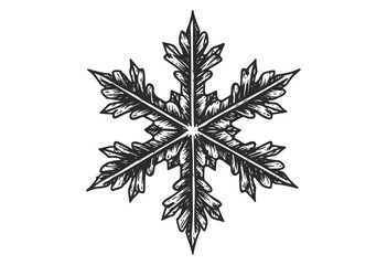 Wall Mural - detailed hand-drawn snowflake illustration with six pointed symmetry - stock vector