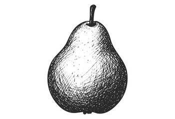 Wall Mural - hand-drawn black and white pear illustration with detailed shading - stock vector