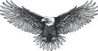 © vadymstock - A detailed illustration of an eagle in flight showcasing its majestic wings and fierce expression.