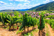 View of Riquewihr village with vineyard on a foreground. Alsace Wine Route, France