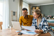 © Srdjan - Young couple, freelancer businessman and businesswoman, working at home on laptop computer, testing new innovative technology and online internet tools and their impact on global business.