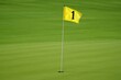 © Irene Kulinchyk - Close-up of golf flag number 1 on green course, marking the hole on beautiful day.