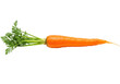 © Luke - Isolated orange carrot with green leaves, single vegetable food photography, natural light
