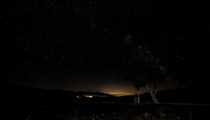 Night Sky Filled with Stars over Dark Landscape with Silhouetted Trees and Distant City Lights Under a Brilliant Milky Way Galaxy in Clear Sky
