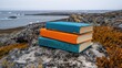 © Aliakbar - a stack of blue, orange and red wooden notepads on top of the rocks in wild nature with sea view in background. In Scandinavian style