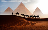 Camel caravan in front of the Great pyramid of Giza complex - Cairo, Egypt